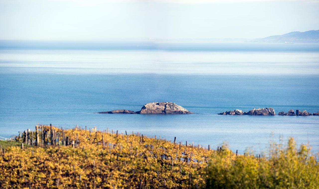 Aterian Pilartxo Enea Lejlighed Zarautz Eksteriør billede